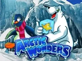 Arctic Wonders